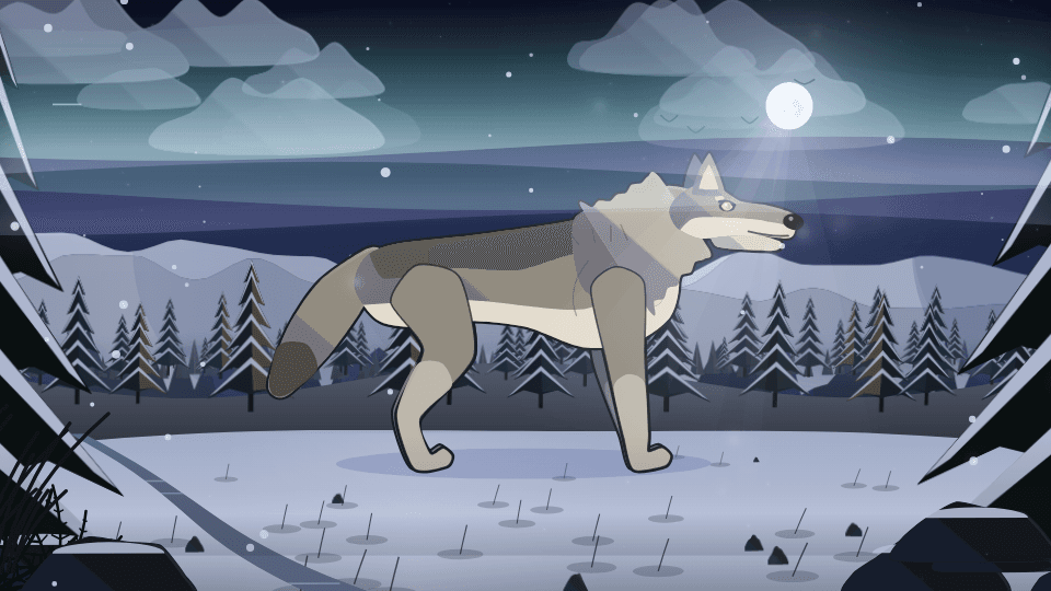 Night Watch mode