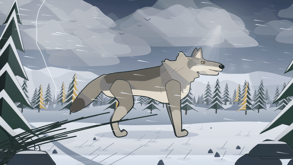 Wild Weather mode
