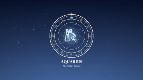 Aquarius in the Zodiac Wheel look