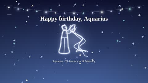 Aquarius in the Your Sign look