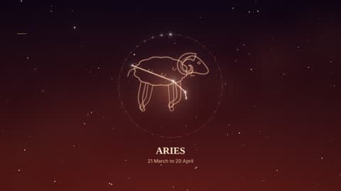Aries in the Starlight look