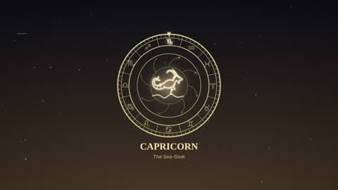 Capricorn in the Zodiac Wheel look