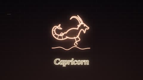 Capricorn in the Neon Sign look