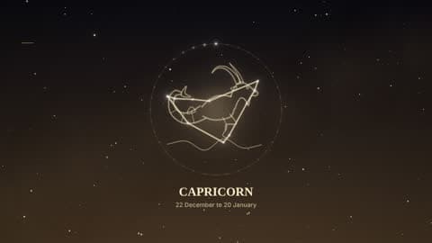 Capricorn in the Starlight look