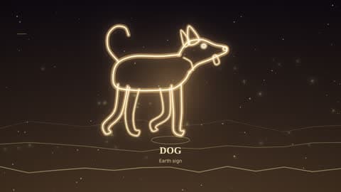 the dog drawn in lines of light in its element's sky