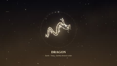 the dragon in the Starlight look