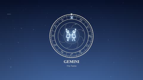 Gemini in the Zodiac Wheel look