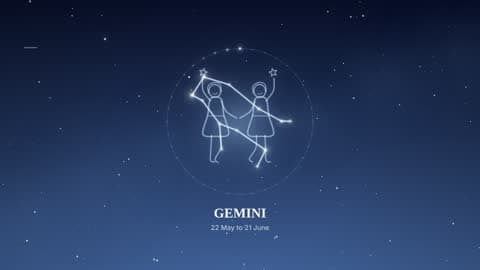 Gemini in the Starlight look