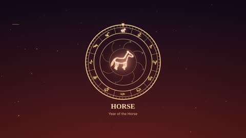 the horse in the Zodiac Wheel look