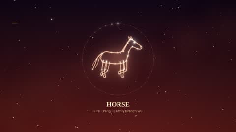 the horse in the Starlight look