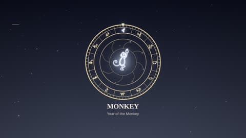 the monkey in the Zodiac Wheel look