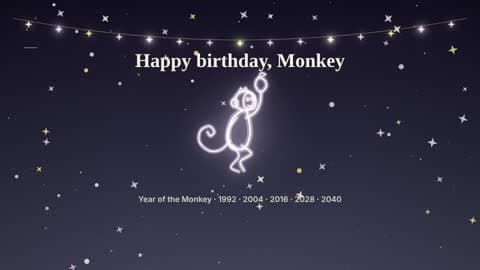 the monkey in the Your Sign look
