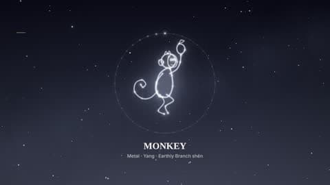 the monkey in the Starlight look