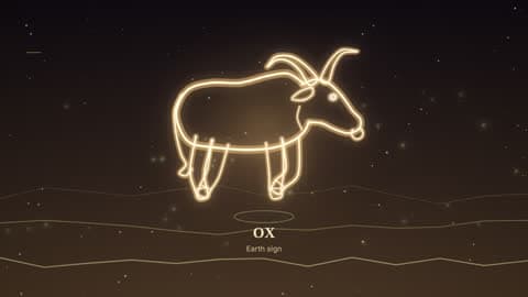 the ox drawn in lines of light in its element's sky