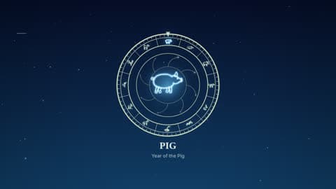 the pig in the Zodiac Wheel look