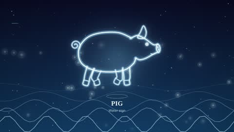 the pig drawn in lines of light in its element's sky