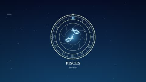 Pisces in the Zodiac Wheel look