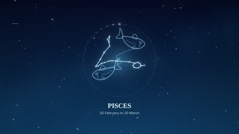 Pisces in the Starlight look