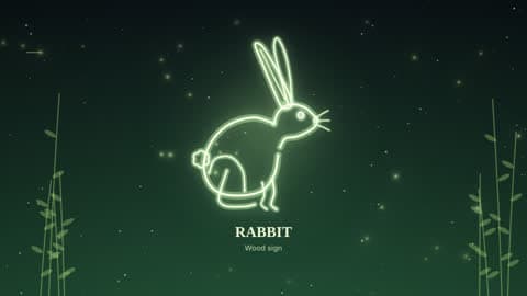 the rabbit drawn in lines of light in its element's sky