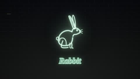 the rabbit in the Neon Sign look