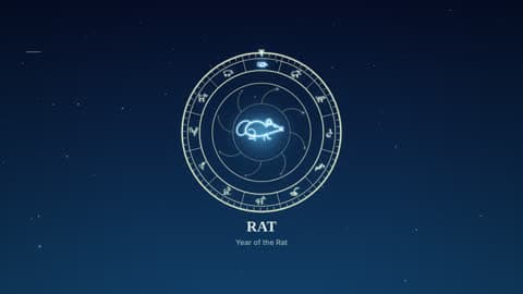 the rat in the Zodiac Wheel look