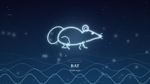 the rat drawn in lines of light in its element's sky