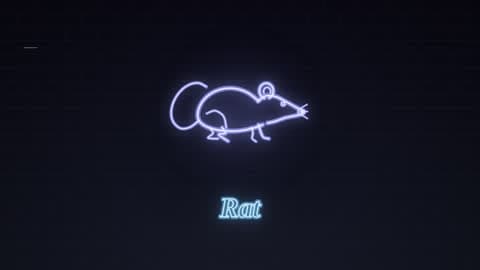 the rat in the Neon Sign look