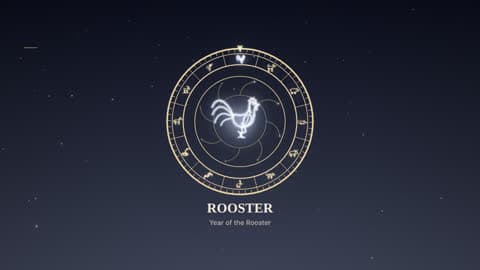 the rooster in the Zodiac Wheel look