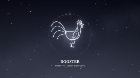 the rooster in the Starlight look