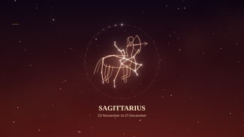 Sagittarius in the Starlight look