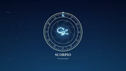 Scorpio in the Zodiac Wheel look