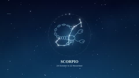 Scorpio in the Starlight look