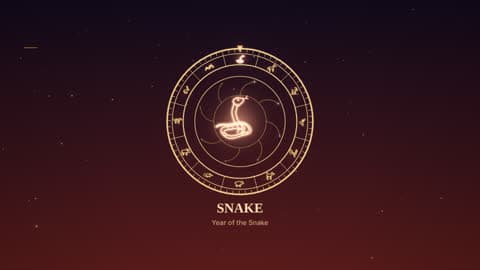 the snake in the Zodiac Wheel look