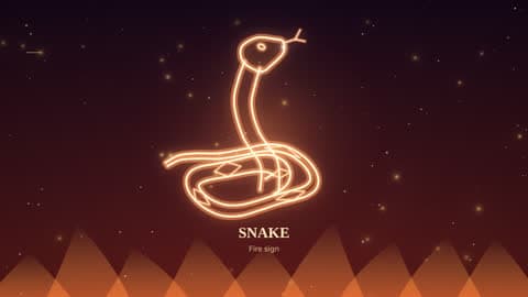 the snake drawn in lines of light in its element's sky