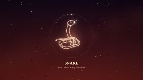 the snake in the Starlight look