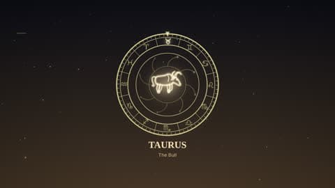 Taurus in the Zodiac Wheel look