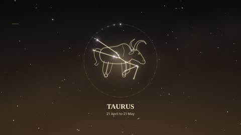 Taurus in the Starlight look