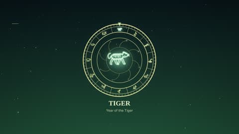 the tiger in the Zodiac Wheel look