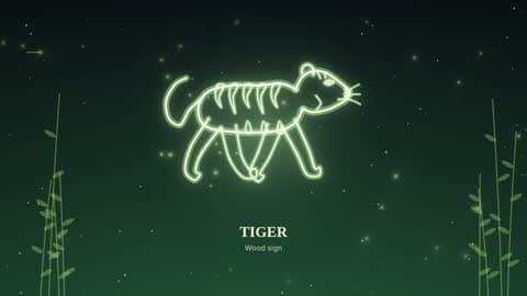 the tiger drawn in lines of light in its element's sky