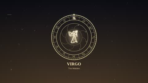 Virgo in the Zodiac Wheel look