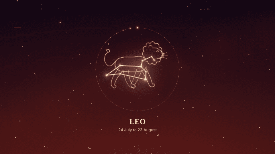Leo in the Starlight look